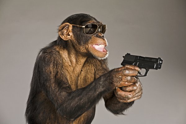 Spotted! Baboons Wielding Chainsaws and Knives, No Reason to Think Next Few Months Will Escalate